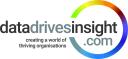 Data Drives Insight logo